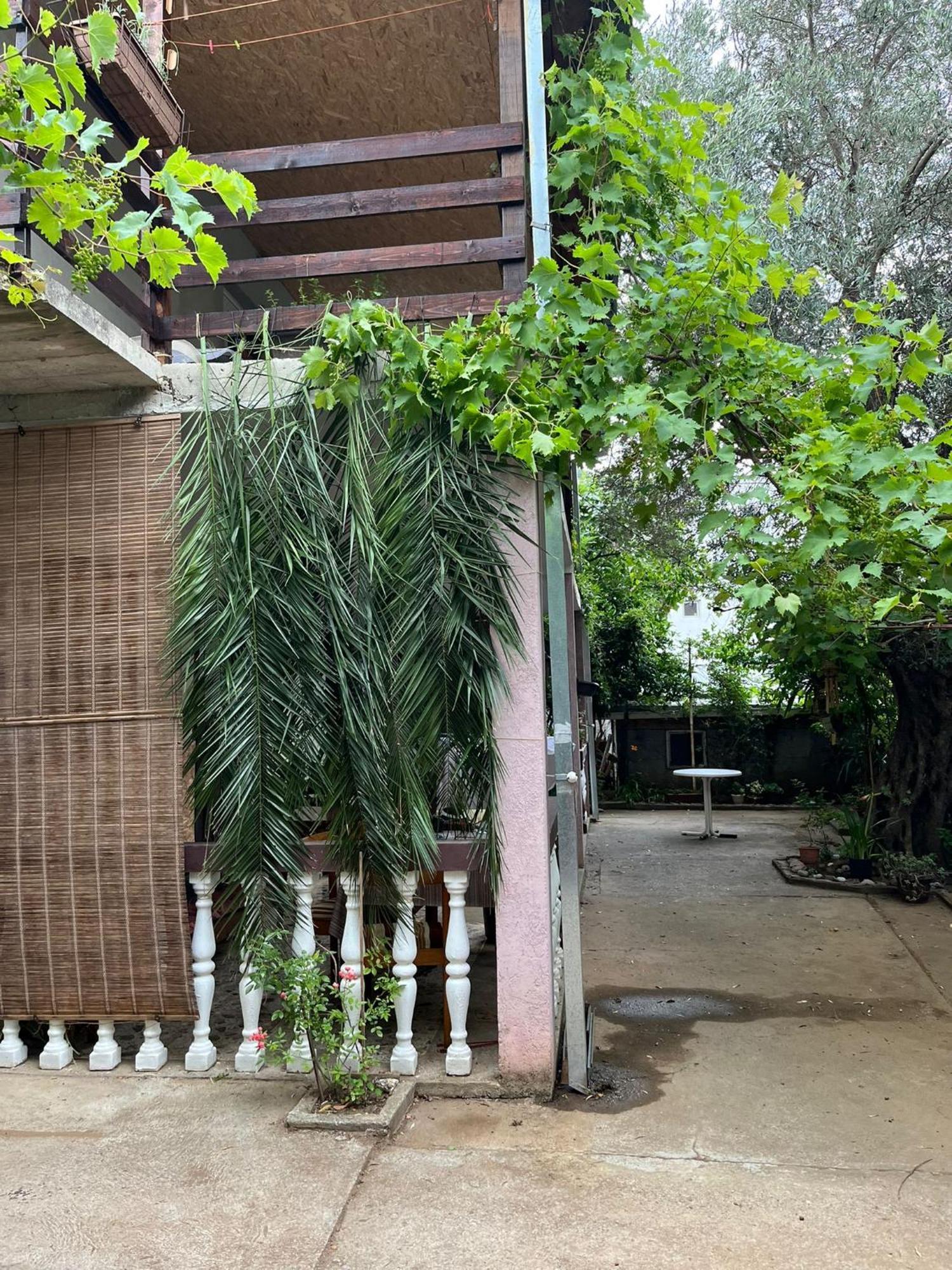 Apartmani Lala 2 Čanj Εξωτερικό φωτογραφία